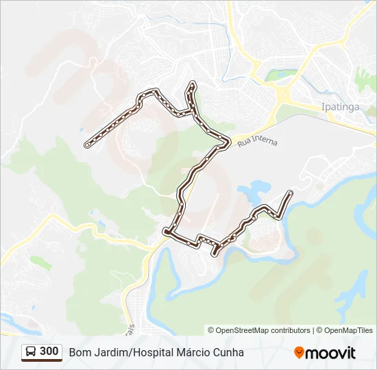 300 Bus Line Map