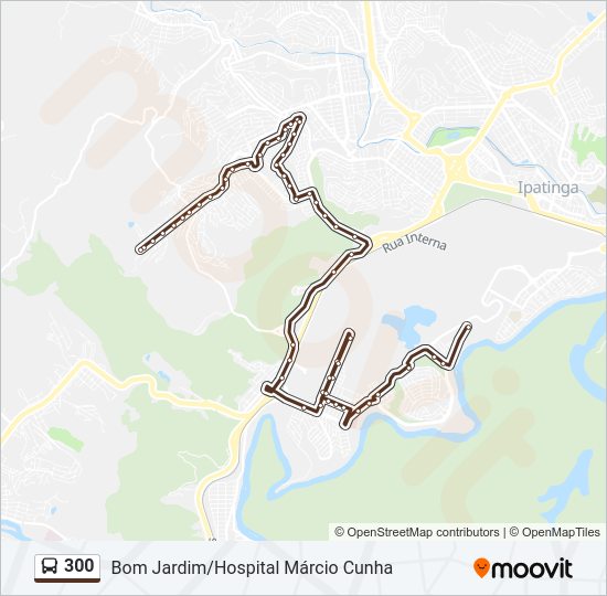 300 Bus Line Map