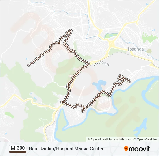 300 Bus Line Map