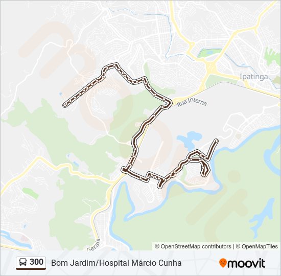 Mapa de 300 de autobús