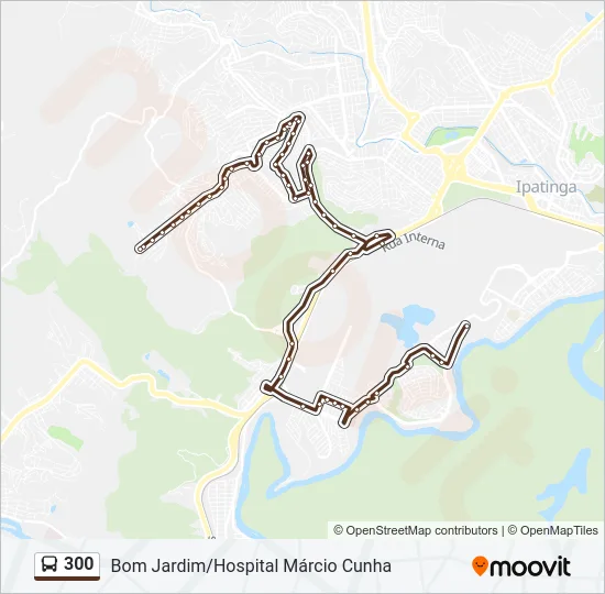 300 Bus Line Map