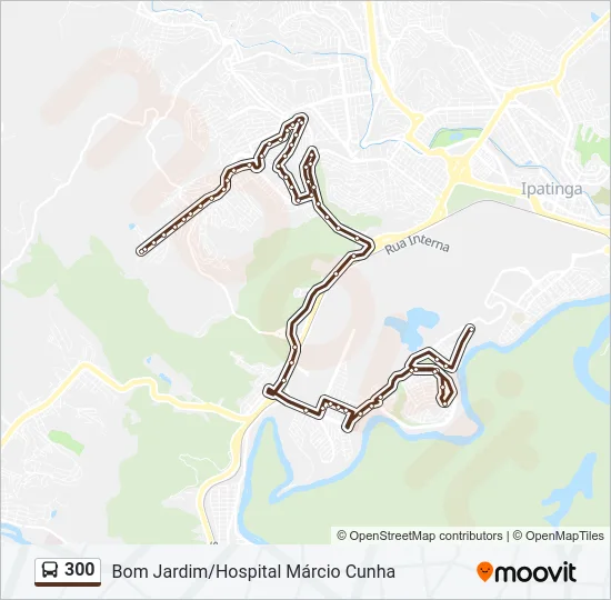 300 Bus Line Map