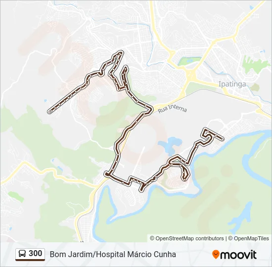 300 Bus Line Map