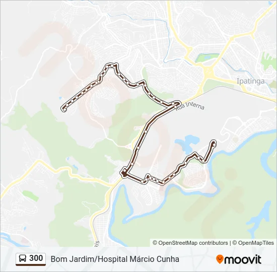 300 Bus Line Map