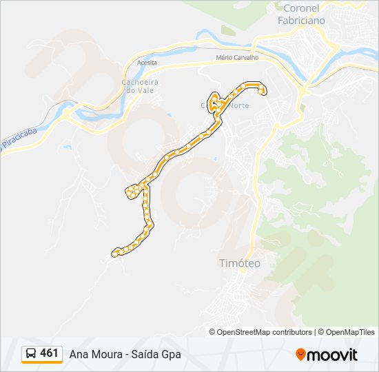 461 Bus Line Map