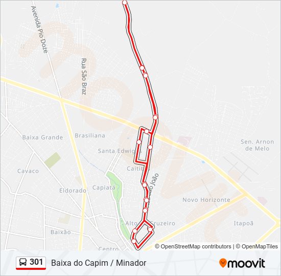 Mapa da linha 301 de ônibus