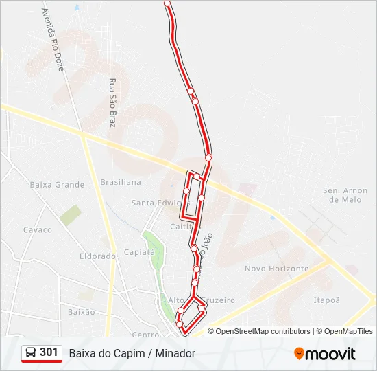301 Bus Line Map