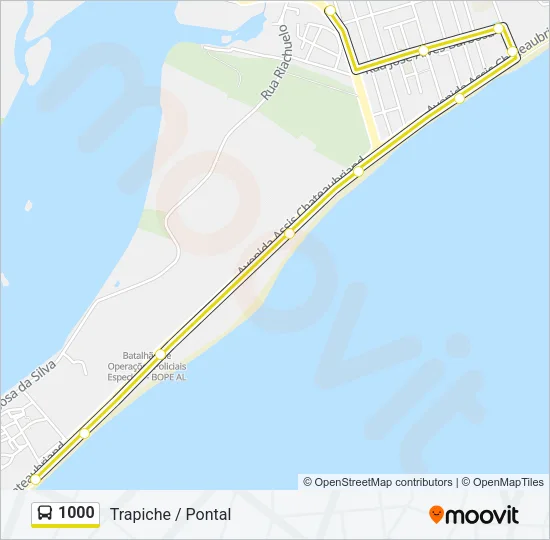 1000 Bus Line Map
