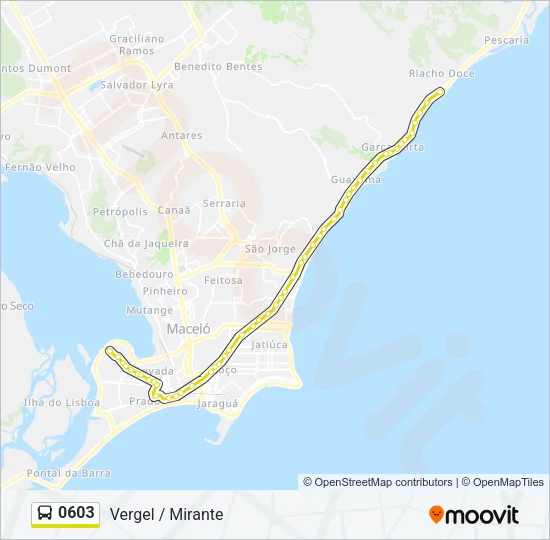 0603 Bus Line Map