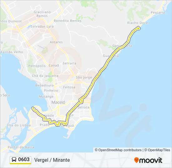 0603 Bus Line Map