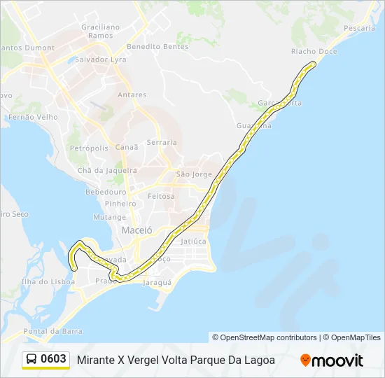 0603 Bus Line Map