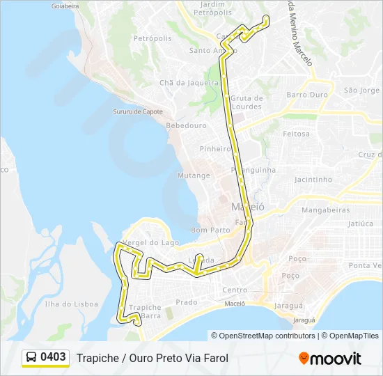 0403 Bus Line Map