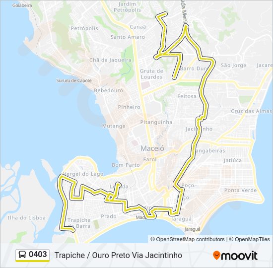 0403 Bus Line Map