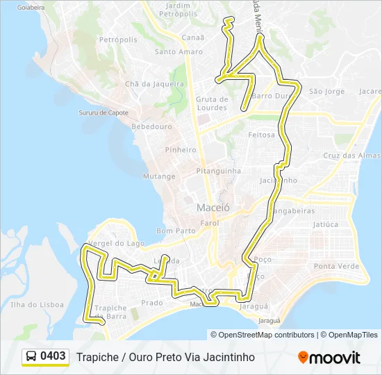 0403 Bus Line Map