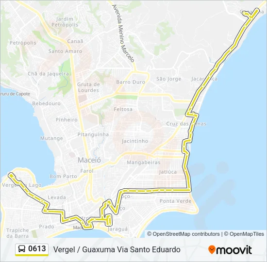 0613 Bus Line Map