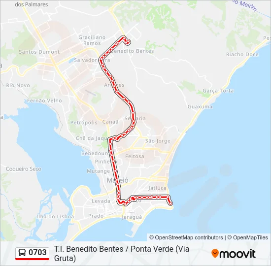 0703 Bus Line Map