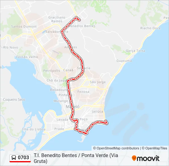0703 Bus Line Map