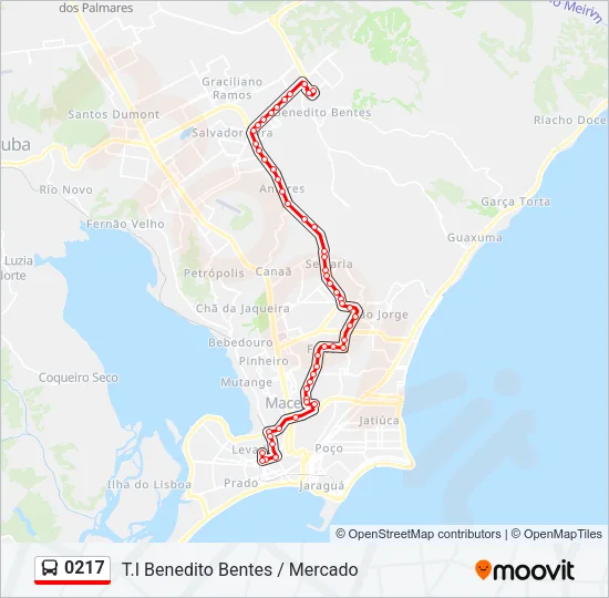 0217 Bus Line Map