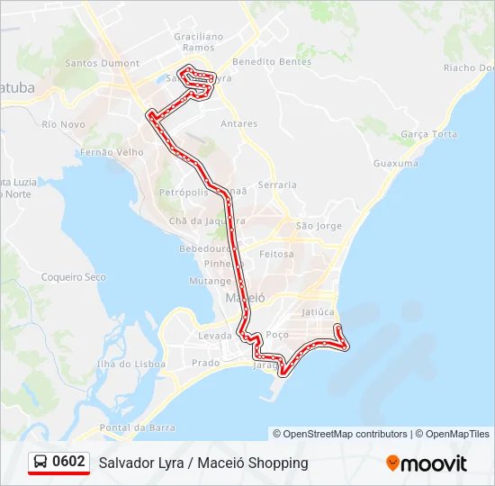 0602 Bus Line Map