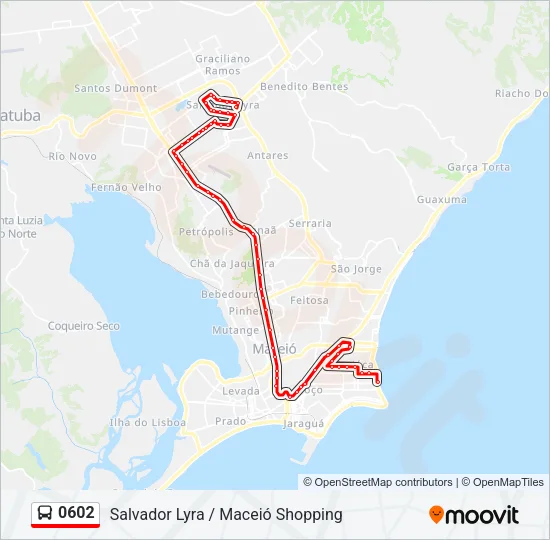 0602 Bus Line Map