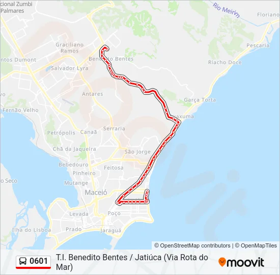 0601 Bus Line Map