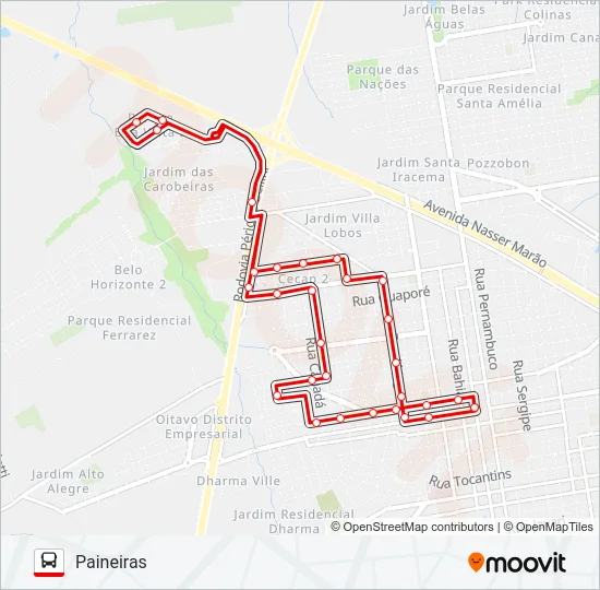 RAMO 1B PAINEIRAS Bus Line Map