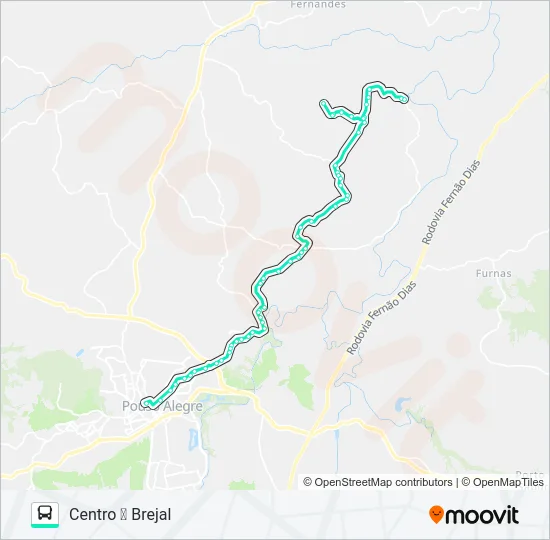 277 CENTRO/BREJAL Bus Line Map