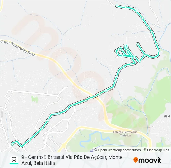 209 FAISQUEIRA/CENTRO Bus Line Map