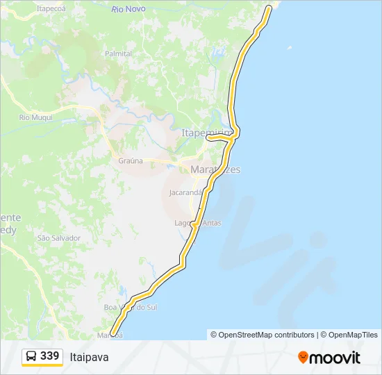 339 Bus Line Map