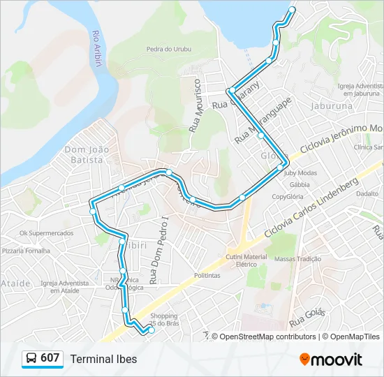 607 Bus Line Map