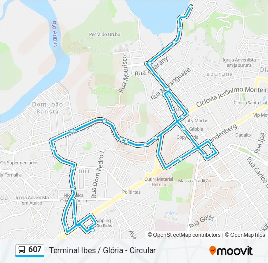 607 Bus Line Map