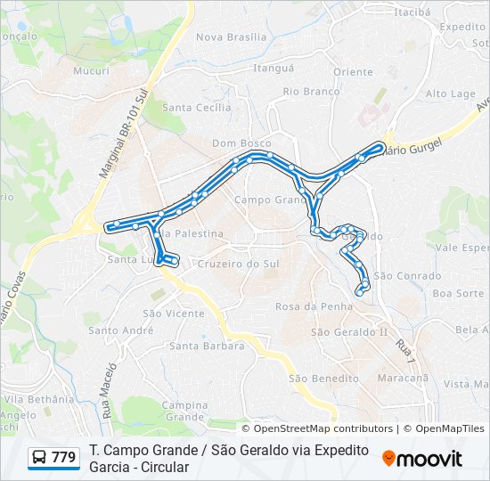 779 Route: Schedules, Stops & Maps - São Geraldo Via Br-262 (Updated)