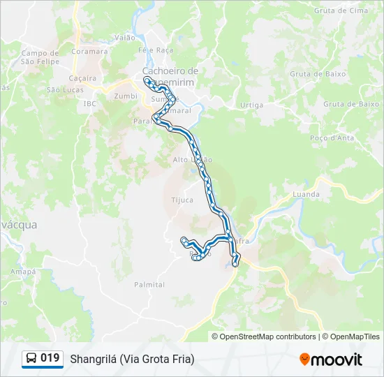 019 Bus Line Map