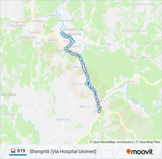 019 Bus Line Map