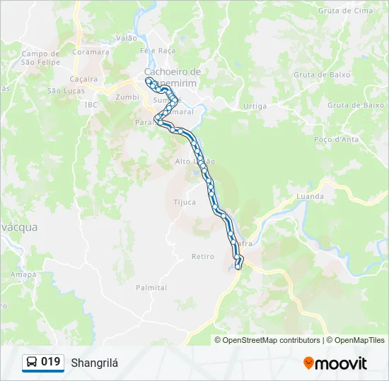 019 Bus Line Map