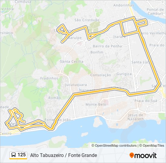 Mapa da linha 125 de ônibus