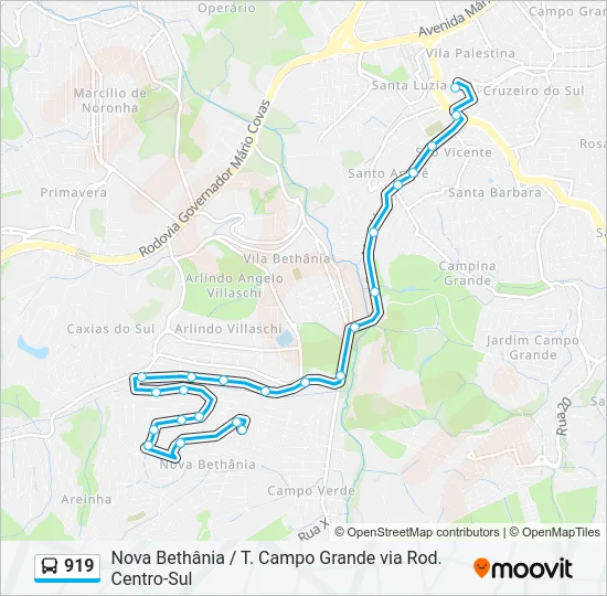 919 Bus Line Map