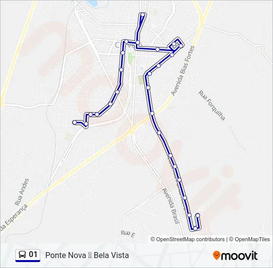 01 Bus Line Map