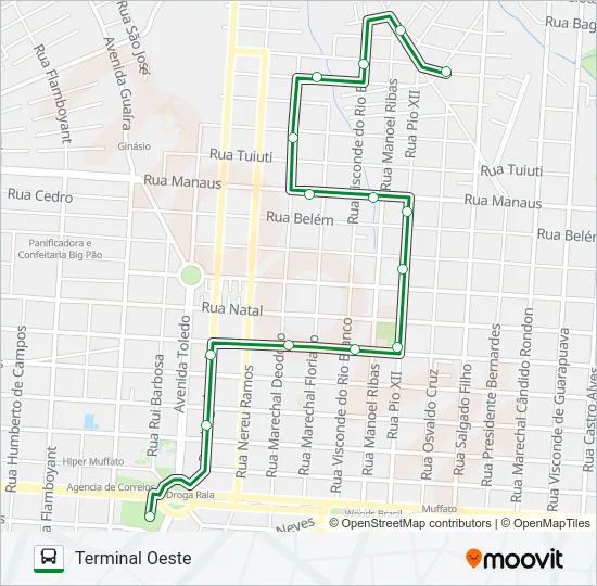 135 CANCELLI Bus Line Map