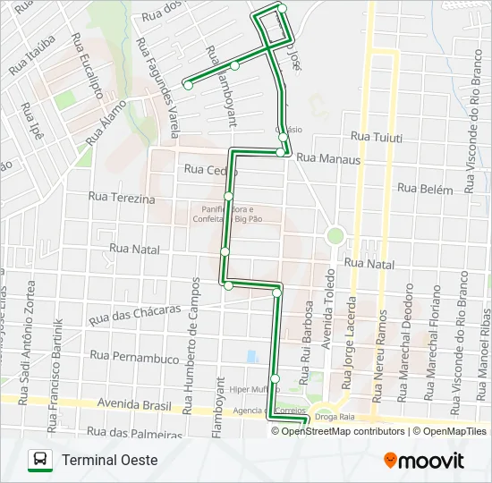 155 TROPICAL Bus Line Map