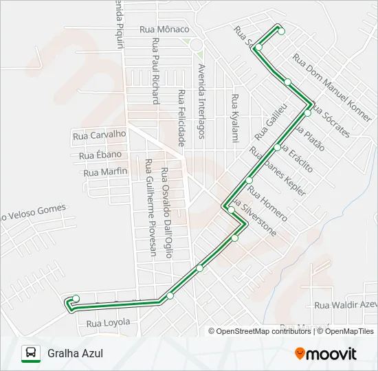 125 GRALHA AZUL Bus Line Map