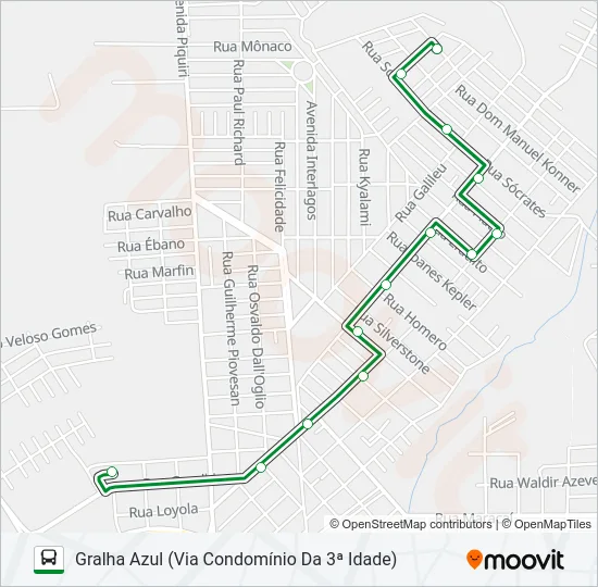 125 GRALHA AZUL Bus Line Map
