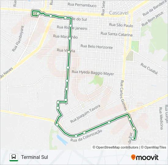 295 NEVA Bus Line Map