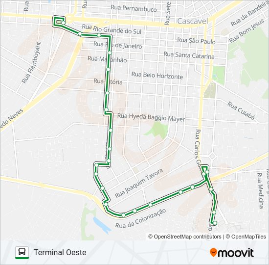 295 NEVA Bus Line Map
