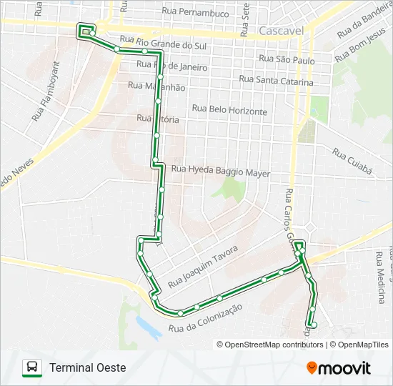 295 NEVA Bus Line Map
