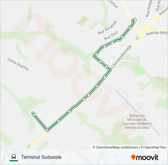 205 SANTOS DUMONT Bus Line Map