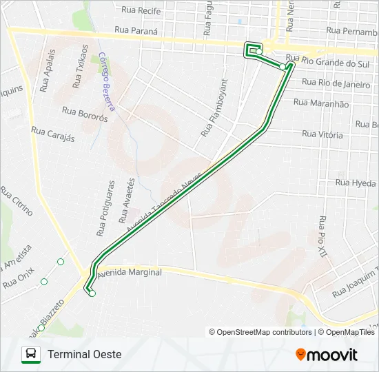 205 SANTOS DUMONT Bus Line Map