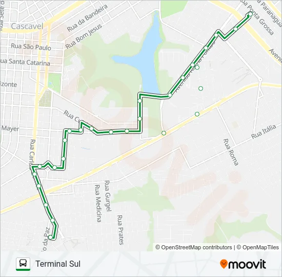 305 MARIA LUIZA Bus Line Map