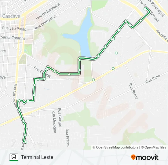 305 MARIA LUIZA Bus Line Map