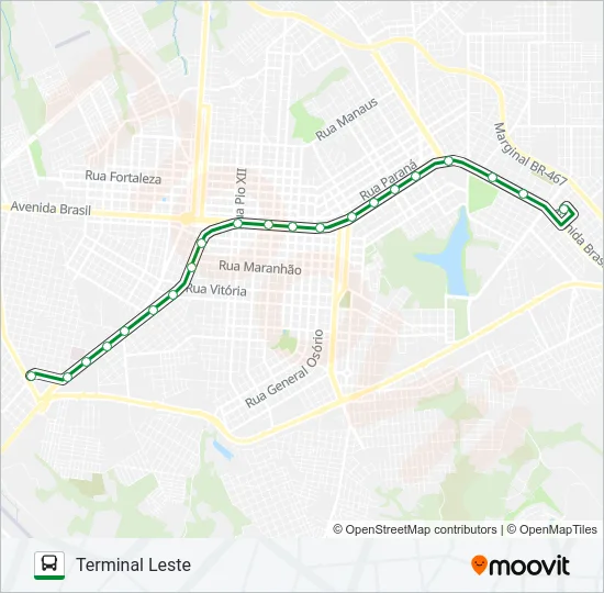 008 LESTE - SUDOESTE Bus Line Map